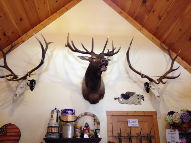 Monica's Pies: inside.