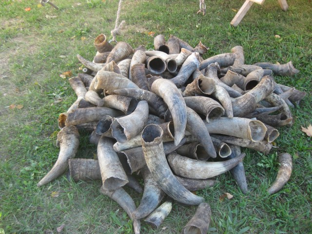 Pile of horns outside a tent, waiting to be styled into fancy powder horns.