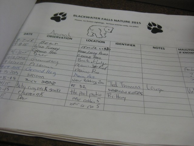 Bear, turkey, groundhog, deer, bear, bear, bear...